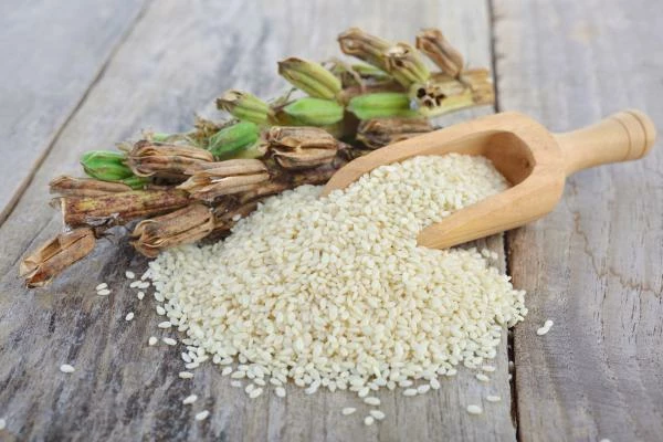 Italy's Import of Sesame Seeds Sets Record at $22M in 2023